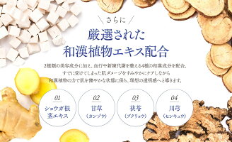 白漢しろ彩セラミドリッチクリーム