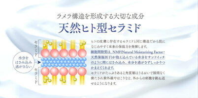 白漢しろ彩セラミドリッチクリーム