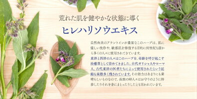白漢しろ彩セラミドリッチクリーム