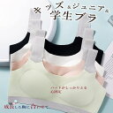 ジュニアブラ パッドが固定 学生ブラ 胸の成長 健康的 快適 サポート シームレス ブラトップ ナイトブラ 軽量 薄手 インナー ブラジャー スポーツブラ 育乳 マタニティブラ ノンワイヤー ハーフトップ 補正下着 サポート タンクトップ 幅広肩ベルト 軽薄 快適 レース