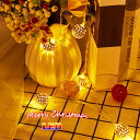 イルミネーションライト LED ボール 10球/20球/50球 電池式 点滅変更 クリスマス ハロウィン パーティー キャンプ テント ガーデンライト おしゃれ...