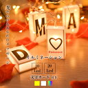文字カード付き イルミネーションライト LED レインボー キラキラ【10球/20球】電池式 ストリングライト クリスマス ハロウィン パーティー キャンプ テ...
