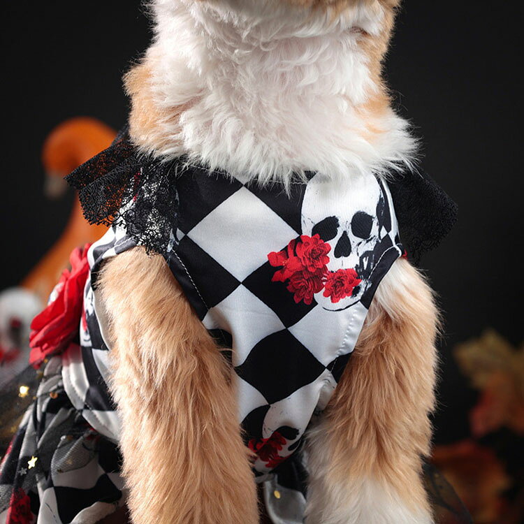 犬 ハロウィン 仮装 ワンピース チェック柄 ハロウィン コスプレ 目玉 髑髏 犬の服 ハロウィーン ペットウエア コスチューム コスプレ 骸骨 悪魔 ペットの服 ネコ デビル 小型犬 中型犬 可愛い コスプレ衣装 面白い 写真 撮影道具 おしゃれ 変身グッズ お化け 文化祭RTACSM rinkastore-10000426 Rinkastore サンプル画像3