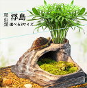 【部分短納期】【期限限定セール】爬虫類 シェルター 隠れ家 3サイズ ハウス トンネル 洞窟 亀 大きい 岩場 浮島 水槽 陸地 カメ イモリ リクガメ ケージ...