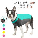 ストレッチ抜群ちゃんウェア キャットウエア パーカー 半袖 フード付き 犬服 猫服 暖かい 冬服 男の子 女の子 無地 単色 ペット服 小型犬 中型 抜け毛防止 お散歩 かっこいい かわいい インスタ映え【カエル リンゴ/オレンジ /バナナ/人参/トナカイ/ネズミ/ ハート】