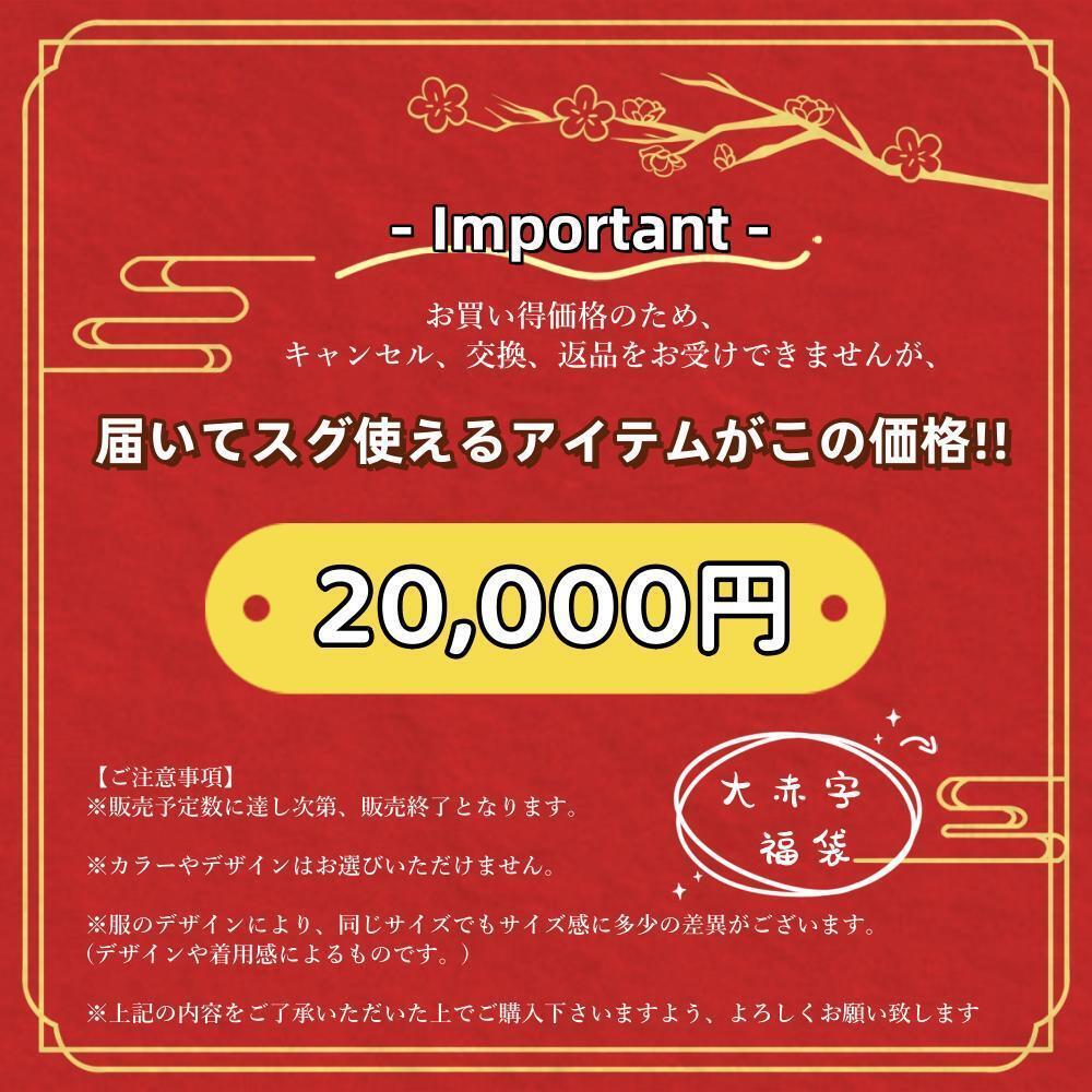 【SALE ！30％OFF！】福袋 部屋着 セット 10点入り お楽しみ福袋 送料無料 ラッキーバッグ オールシーズン ハッピーバッグ ルームウェア ランダム ファッション福袋 パジャマ 小物 おしゃれ 雑貨 可愛い レディース ルームウエア 補正下着 インナー 雑貨 大人気 M-L L-LL rinki-10000662 rika shop サンプル画像3