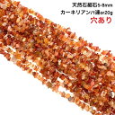 【穴あき】さざれ石 20g また1連約80cm カーネリアン 天然石 パワーストーン ハンドメイド素材 パーツ 紅玉髄(べにぎょくずい)
