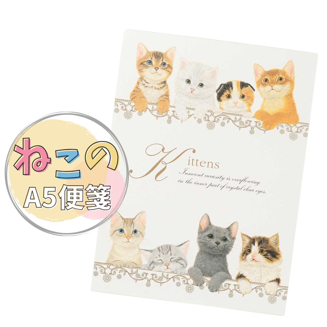 便箋 A5 猫 A5サイズ 2柄 手紙 レター レターセット 大人の便箋 大人のかわいい文具 かわいい 便箋 メモ 猫柄 シンプル ギフト プレゼント 大人かわ...