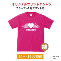 特別企画 クイックオーダー（簡単注文） 綿Tシャツ 定番が一番！（5001）