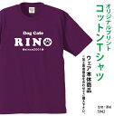 クラスTシャツ・学園祭・サークル等に プリントTシャツ デザイン無料 オリジナル オーダーメイドTシャツ 5942 メンズ/レディース クラ..