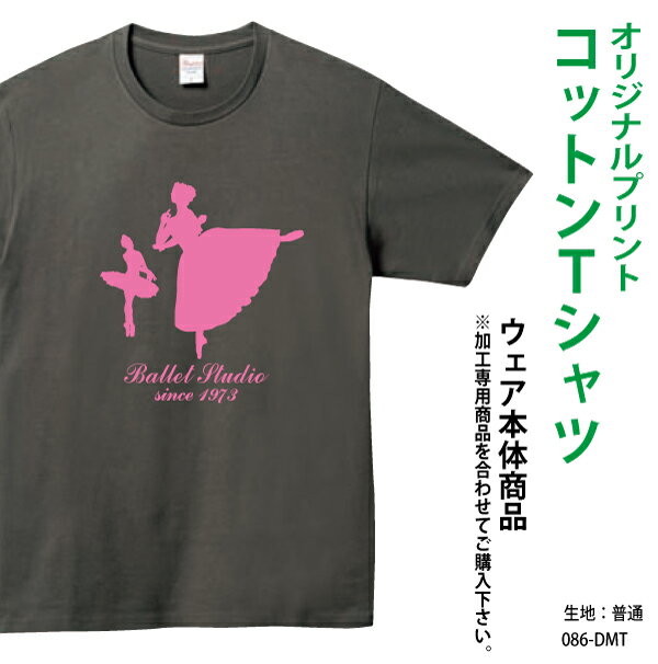 クラスTシャツ・学園祭・サークル等に プリントT...の商品画像