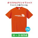 チームTシャツ ユニフォームに オリジナルで作成 オーダーメイドTシャツ 1色プリント代込み メンズ/レディース 名入れ・ロゴ入れ クラスTシャツ 送料無料 体育祭 学園祭 イベント文化祭 30〜39枚制作/5088