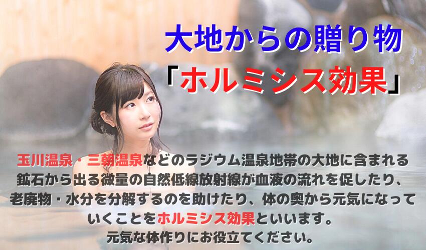 ホルミシスクリーム ラベンダー 200g ギフト プレゼント メンズ レディース ボディクリーム ハーブ いい香り フェイスケア リンパ スキンクリーム ボディークリーム リンパマッサージ 乾燥肌 保湿 マッサージクリーム 顔 スキンケア 足 ホルミシス ボディケア