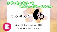 体の奥から元気になるホルミシスパワー入浴剤 プチギフト 個包装 バスグッズ プレゼント おしゃれ ホルミシス ラドン浴 美肌 健康作り 冷え お風呂 男性 女性疲れやすい ラドン浴 老廃物排出 むくみ 肌質 くすみ 美肌【ほるみんパワーミネラル】3個入り