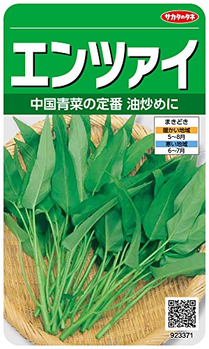 サカタのタネ 実咲野菜3371 エンツァイ 00923371