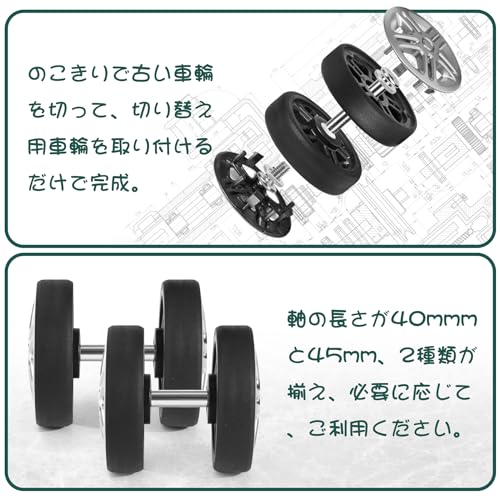 Ech.Apr �����ĥ����� ���㥹���� 8�ĥ��å� ������ �����佤�� ���ؤ� ���� ���㥹���� �� ������ ����դ���ñ ���Ѽ��� ľ��