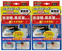風呂釜 や 洗濯槽 洗いの 根こそぎ革命 業務用 カビ取り洗浄剤×2セット
