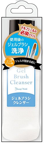 BW ジェルブラシクレンザー 100ミリリットル x 1