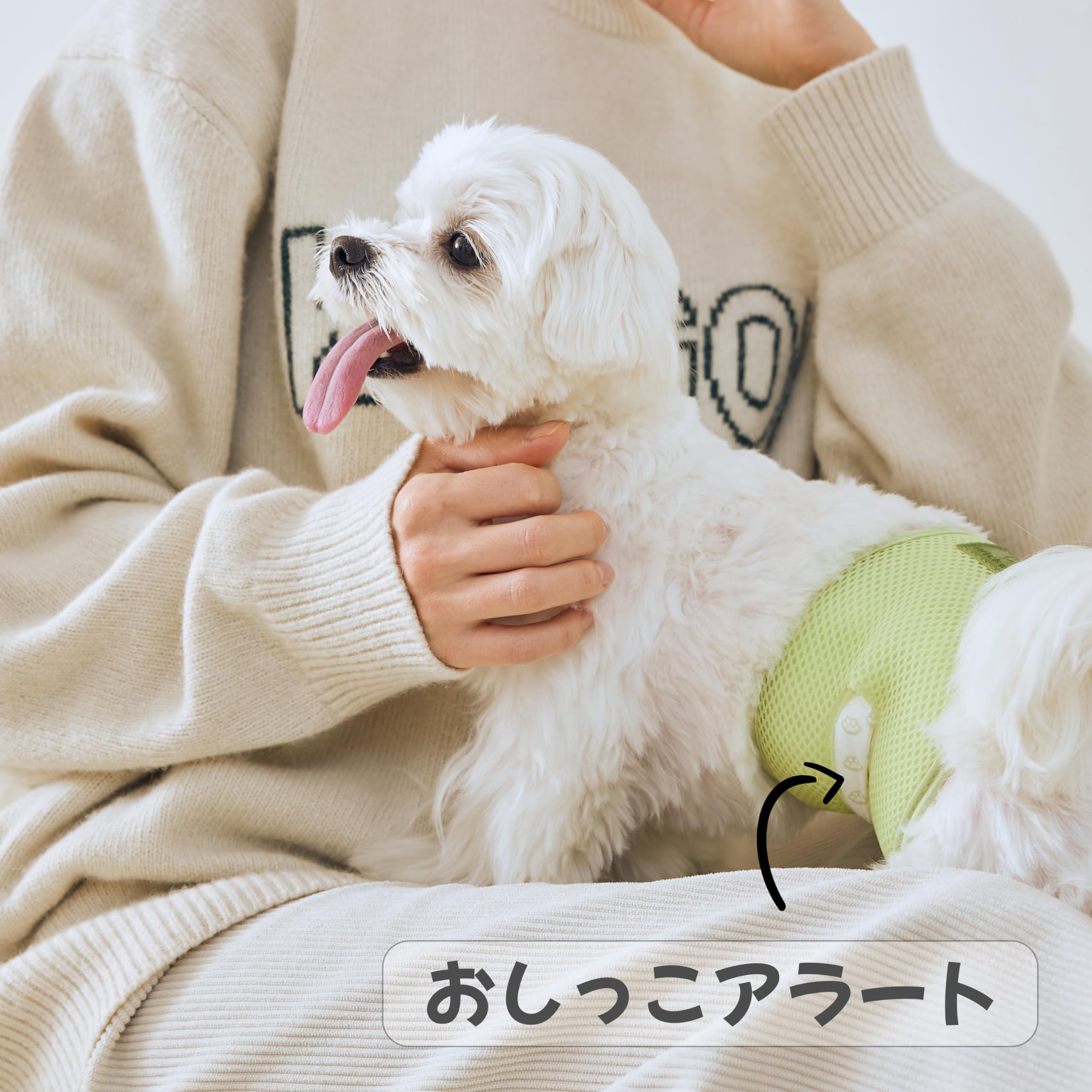 WICKEDPUP ���ѥޥʡ��٥�ȥ��åȡ�����ĥ饤�ʡ�50��ȥۥ����1���դ��ʥ�����0�����ޤ����26-35CM��