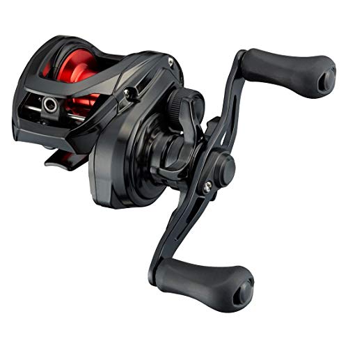 ダイワDAIWA ベイトリール 21 PR100L