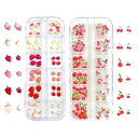 YFFSFDC ネイルパーツ イチゴ さくらんぼ 2ボックスセット 3Dジンパーツ 可愛い 立体 果物 樹脂パーツ ネイルアート ジュエリーパー