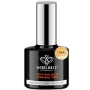 Modelones ネイルグルー ネイルチップ接着剤 15ml 4-IN-1 ネイルチップ用グルー&ベースコート&補強ジェル&スリップソリューシ