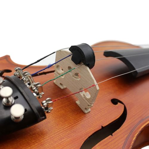 �Х������ �ߥ塼�� �岻�� �ò��� Mute Tourte 2�ķ�