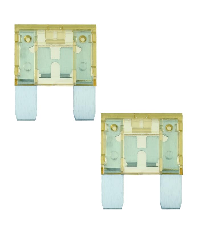 オーディオテクニカ MAXI-80A MAXIヒューズ 80A 2個入り