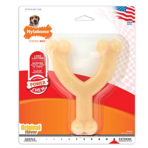 ʥܡ åܡ Y  Nylabone