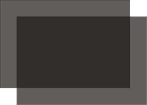 Selens 偏光フィルム 偏光シート 20x30cm 2枚入り 粘着なし 偏光子液晶スクリーン 教育物理学用 線形偏..