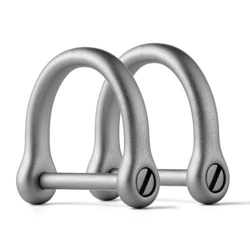 TISUR Dリング キーホルダー 小型 dカン ネジ式 dかん金具 ステンレス製 車 キーリング スマートキー 鍵 バイク キーチェーン 財布