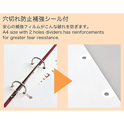 �ޥ�ޥ� ����ǥå��� A4 2�� ����ǥå��������� 12�� 5�� 1�� LT4212F