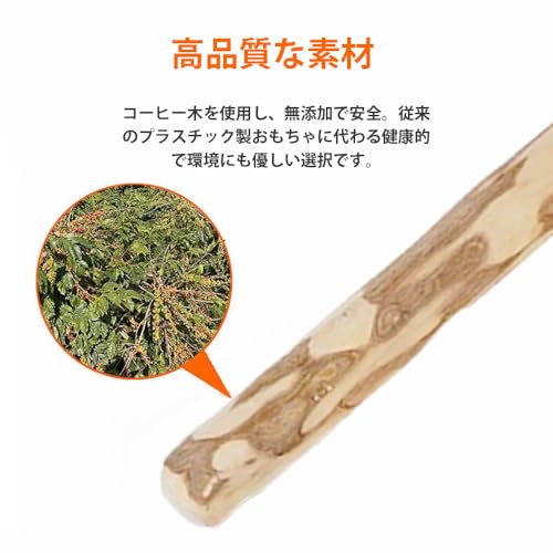 CHENLONB �� ���प����� �����ҡ����å� ̵ź�� ŷ���� �˲��ɻ� ���ȥ쥹��� �ǥ󥿥륱�� �澮���� ������� �ڤ��� ��16cm