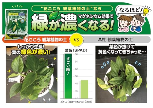 花ごころ 観葉植物の土 マグネシウムで葉の色鮮やか 12L