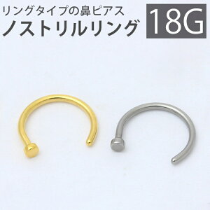 【全品送料無料】 鼻ピアス 18G ボディピアス 鼻ピ ノストリルリング 18ゲージ ピアス メンズ ノストリル サージカルステンレス ボディーピアス Pierce 凛