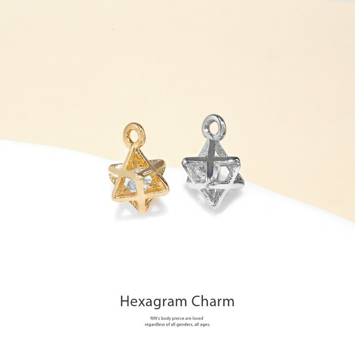 【全品送料無料】 チャーム 14G かわいい 16G ボディピアス 18G ヘキサゴン 六芒星 ジュエル 14ゲージ 16ゲージ 18ゲージ ピアス チャーム パーツ カスタマイズ 耳