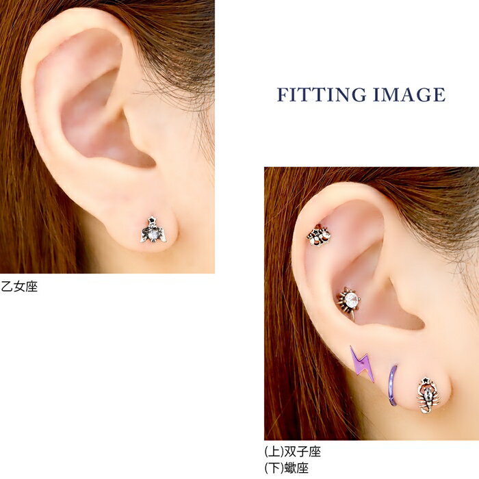 ボディピアス 16G 軟骨ピアス パーツ かわいい 星座 サージカルステンレス 金属アレルギー対応 牡羊座 牡牛座 双子座 蟹座 獅子座 乙女座 天秤座 蠍座 射手座 山羊座 水瓶座 魚座 シルバー 片耳用 耳たぶ なんこつぴあす ボディーピアス ピアス Pierce