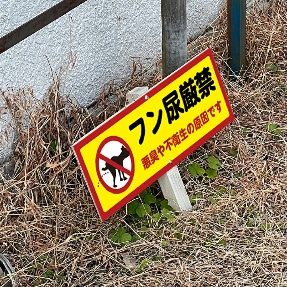 ���紶�պס�P10��+�����ݥ����֥ۡۡե�Ǣ���� �������Ա����θ����Ǥ���W300mm��H100mm���� �ڥåȤλ���ޥʡ� �ե�ػ� ���� ���λ���ػ� �ե�...