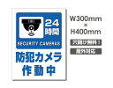 【お得なクーポン配布中】送料無料 プレート看板【防犯カメラ作動中】アルミ複合板 W300mm×H400mm 激安看板 厚さ3mm 不法投棄 監視中 24時間 通...