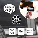 【スーパーDEAL最大50倍還元】ドラレコ ステッカー 録画中 肉球 車用ステッカー 肉球シール ドラレコシール おしゃれ 煽り運転対策 録画中ステッカー 車 ...