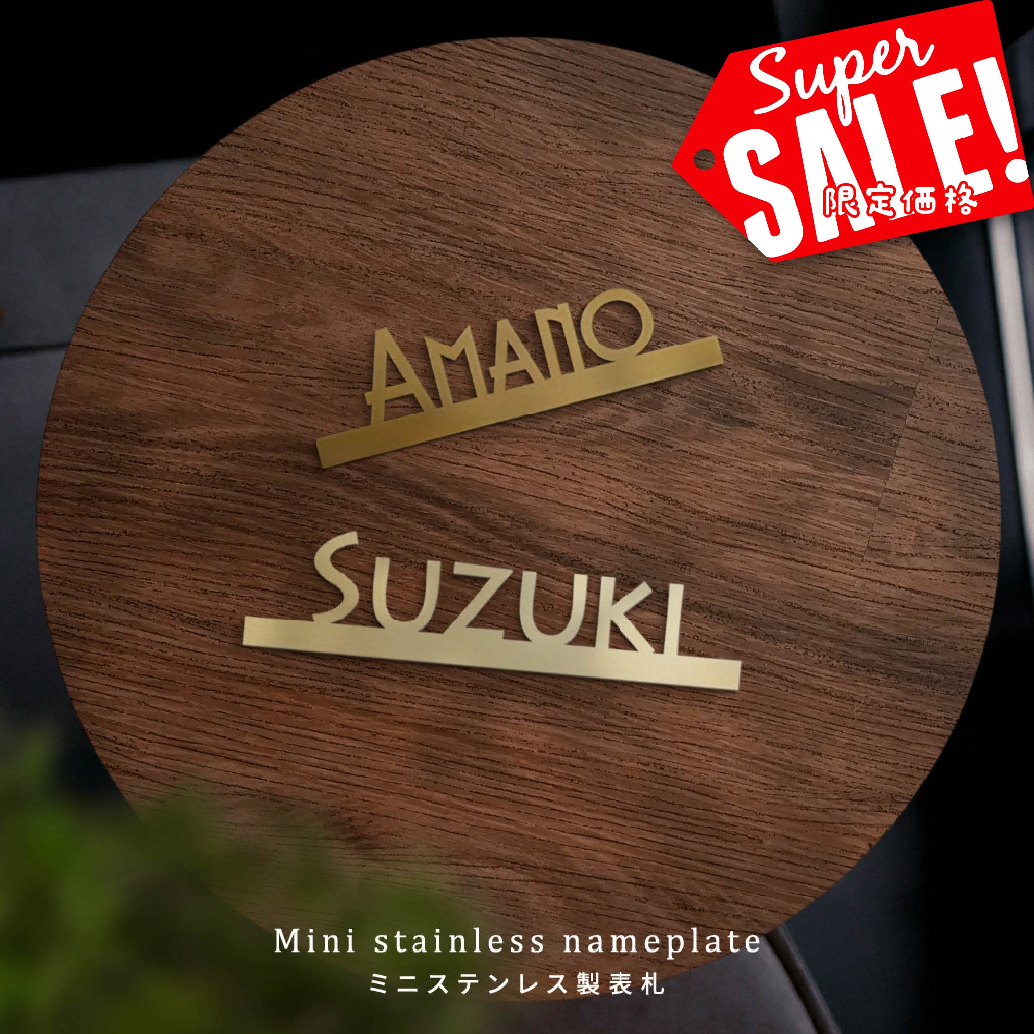 【最大半額 楽天スーパーSALE】表札 ステンレス 表札 シール おしゃれ 戸建て 英字 アイアン 住宅 オシャレ 北欧 文字 玄関 切文字 戸建 玄関 アイアン風 表札 ローマ字 sus-18-rr