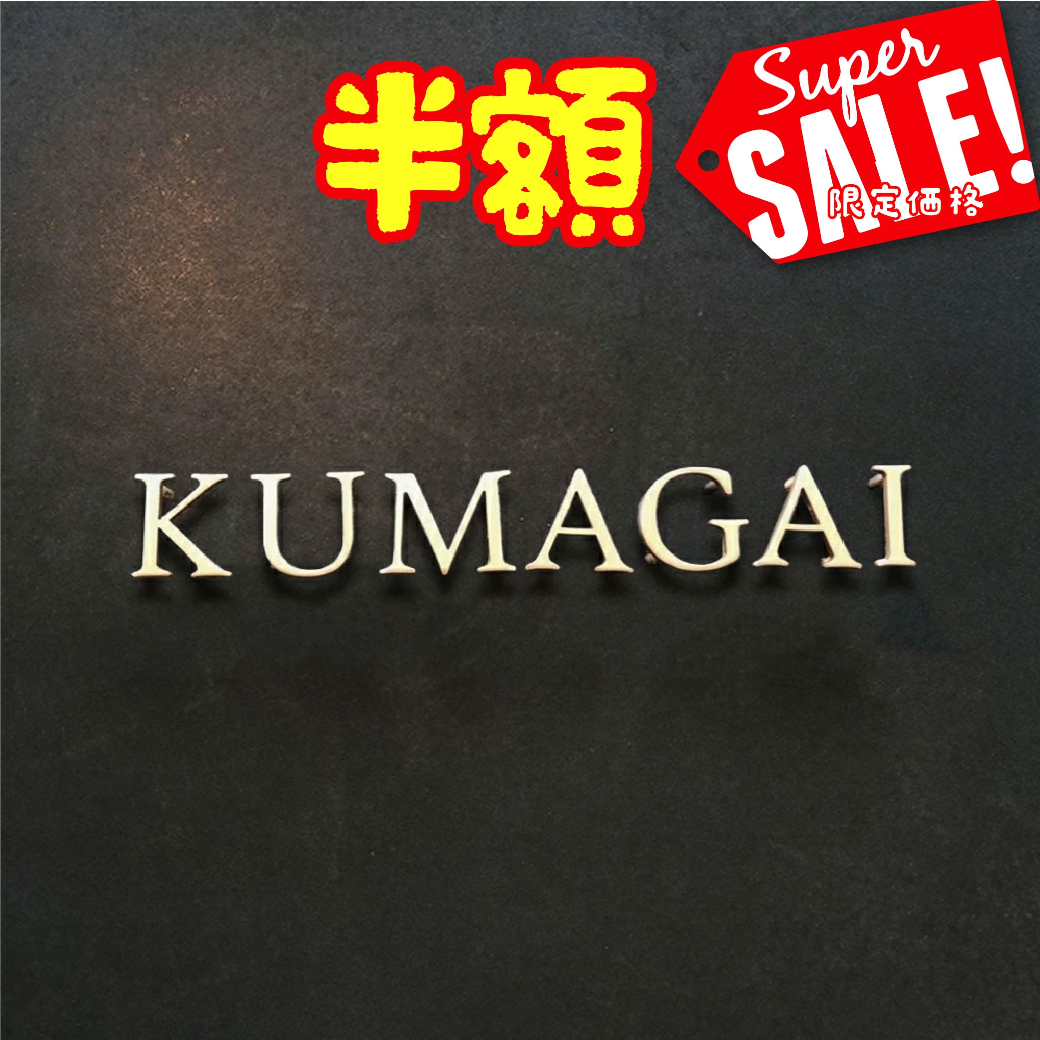 【楽天スーパーセール 半額商品】【必要な文字数でご注文してください】日本製 表札 ステンレス【スタイリッシュな6色 ローマ字 切り文字 バラ文字】特注 サイズ 自由 オーダーメイド 番地 住所 二世帯 戸建 門柱 機能門柱 おしゃれ ネームプレート サイズオーダー