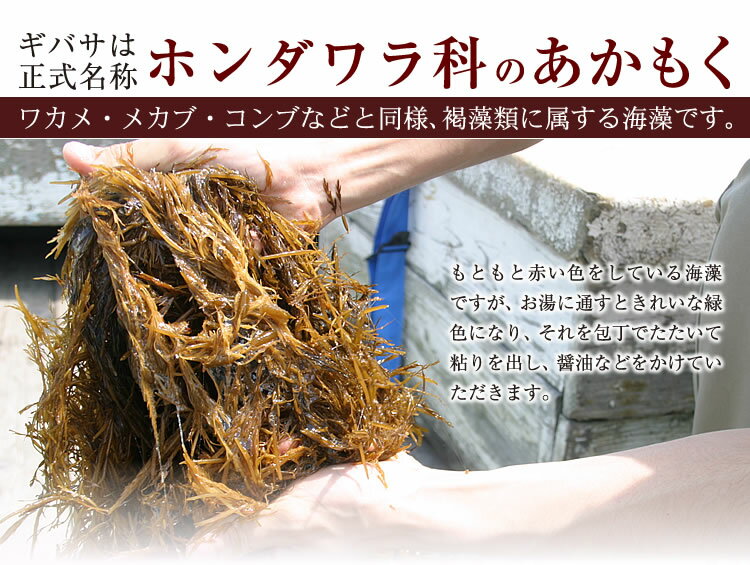 あかもく ぎばさ秋田県男鹿の三高水産冷凍(200g×10袋)ギバサ・アカモクはフコイダンが豊富な海藻！ぎばさ/あかもく/ギバサ/アカモク/じばさ/ジバサ