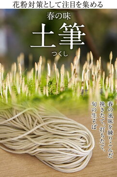 つらい花粉対策に!たっぷり「つくし」が練りこまれた土筆そばセット《お試し2食入》【送料無料商品と同梱で送料0円】