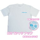 おぱんちゅうさぎ BIG Tシャツ アップ ホワイト 洋服 服 半袖 大きめ ワンポイント 無地 綿 ティーシャツ グッズ オシャレ レディース メンズ キャラクター 白 ホワイト ビッグ サイズ