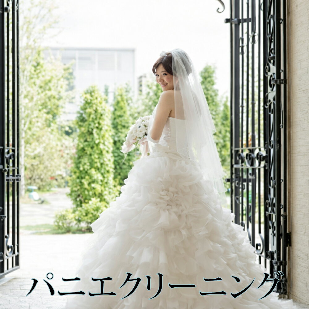 送料無料 パニエ クリーニング クリーニング