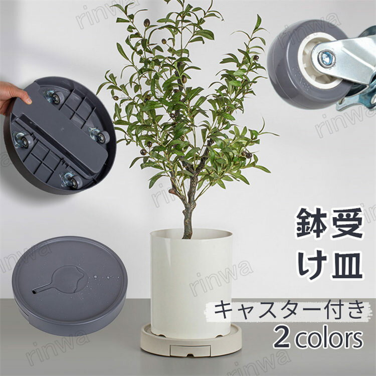 【プラスチック POT 直径15cm】/ 鉢 プランター 鉢カバー サボテン 多肉植物 ミニサボテン 寄せ植え 観葉植物 インテリア オシャレ かわいい プレゼント ギフト 雑貨 母の日 父の日 バレンタイン ホワイトデー クリスマス 後藤サボテン GOTO SABOTEN /