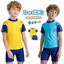 キッズ 水着 男の子 男児 長袖 ラッシュガード パンツ 2点セット UVカット 夏 海 プール 90cm 100cm 110cm 120cm 130cm 14...