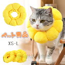 エリザベスカラー 猫 犬 ソフト ソフトエリザベスカラー 小型犬 ペット用品 術後 傷舐め 足舐め ソフト 柔らかい 角型 傷舐め 引っ掻き防止 病気 怪我 傷...