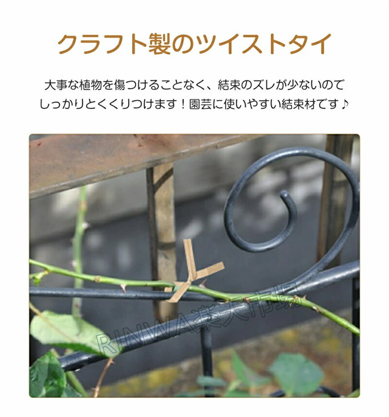 支柱 バンド ビニタイ 和紙タイ ペーパータイ ワイヤータイ 支柱 トマト クラフト製 ツイストタイ ラッピングタイ ねじりっこ エスタイ 結束線 結束バンド 添え木 支柱止め 園芸DIY 家庭菜園 ガーデニング用品 支柱結束資材